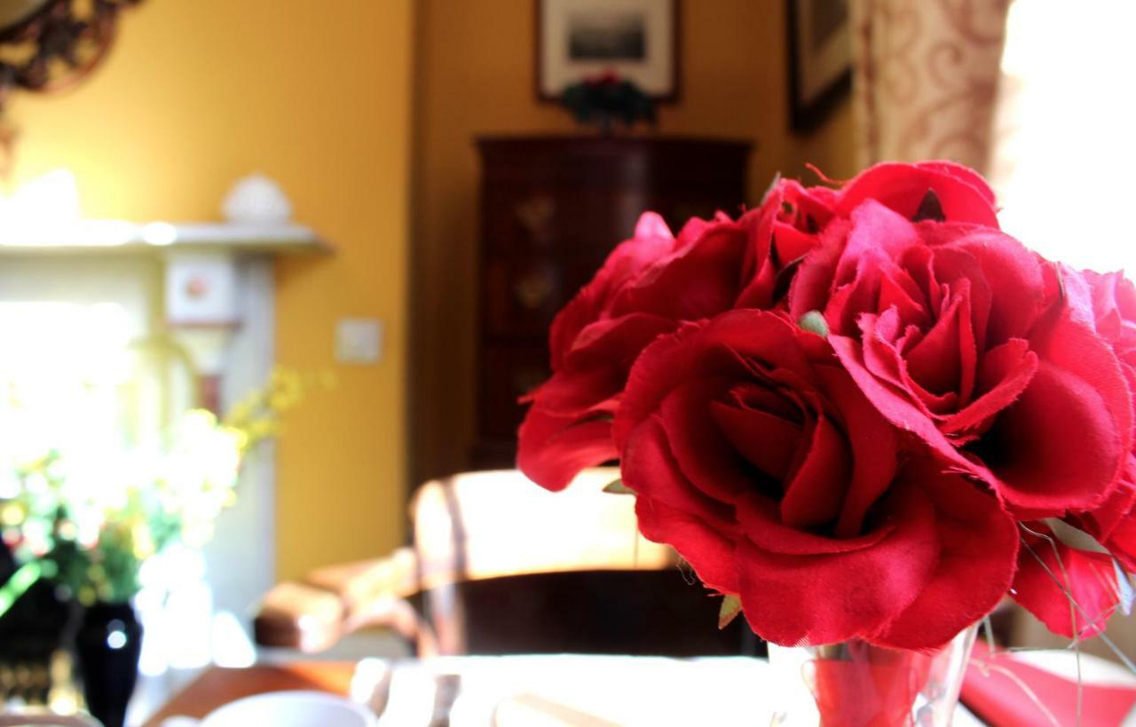 Holly House Bed And Breakfast And Apartments Hereford Zewnętrze zdjęcie